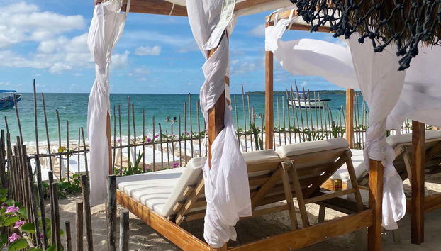 Barú Peninsula Snorkeling Trip - Foto 5