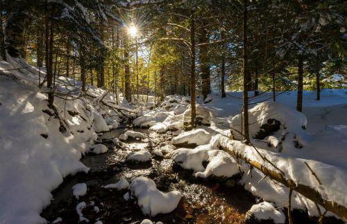 Aura de Gavin by BeValle - Foto 38