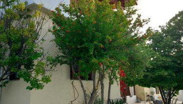 Villa Olga & studios - Foto 5