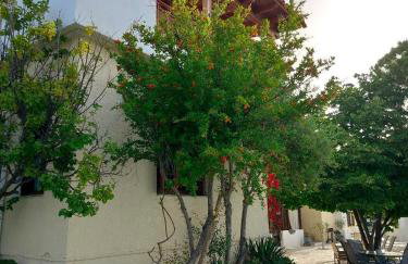 Villa Olga & studios - Foto 5