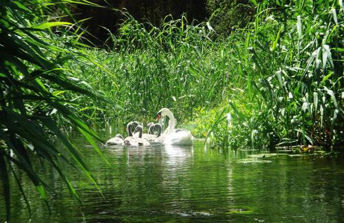 Pojezierze Drawskie Agroturystyka Greanna - Foto 56