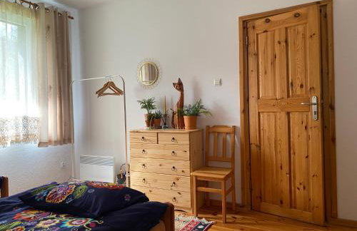 Apartament Hajstra z ogrodem - Foto 11