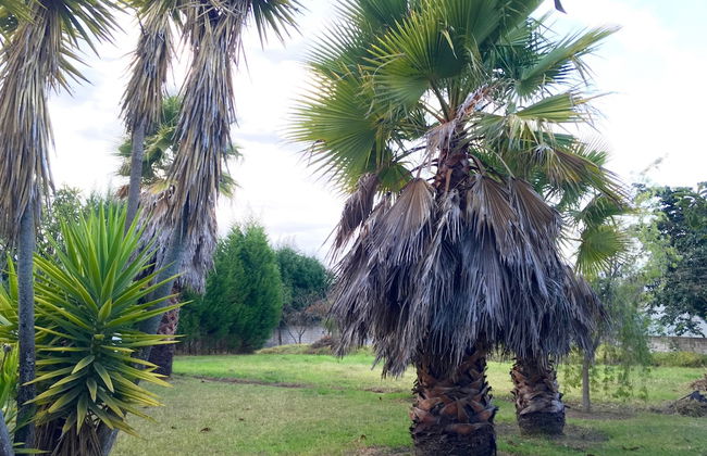 Nispero Country House - Foto 30