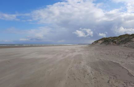 Villa Maris Stella à 250m de la plage de Petit Fort Philippe - Foto 34