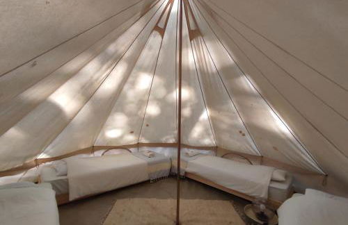 Associação Quinta das Relvas - Foto 102