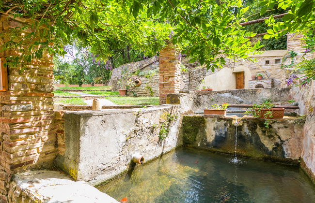 Fiordaliso - Foto 56