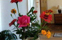 Tanias Apartment - Foto 10