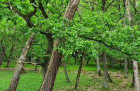 Ferienwohnung Jenny Edersee - Foto 20