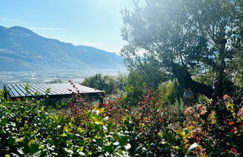 Residence Pranterhof - Foto 57