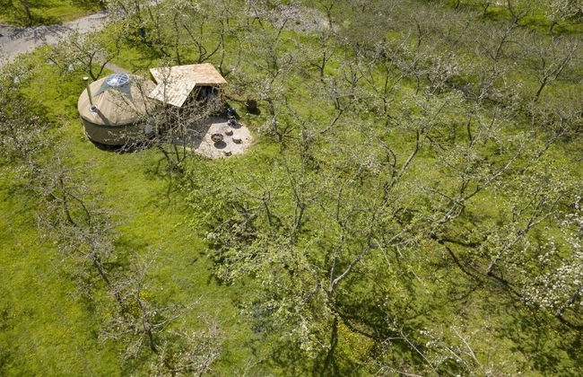 Torre Cider Farm - Foto 27