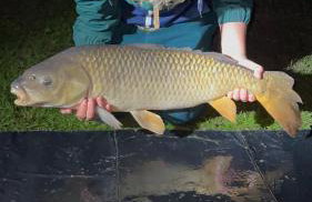 Cornish Crantock Holiday Sandy Toes - Foto 17
