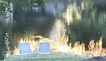 DunMovin’ Oregon - Photo 4, Garden