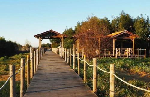 200M - Train Station Barrinha Beach House & Pool - Foto 36