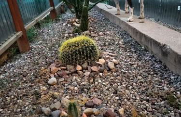 La Casa Sirena - Foto 7