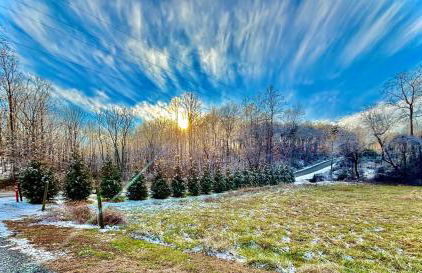 Giggling Creek Cottage - BedJet! King Sized! Gazebo, 45 Acres, Arcades, Nintendo, more - Photo 18