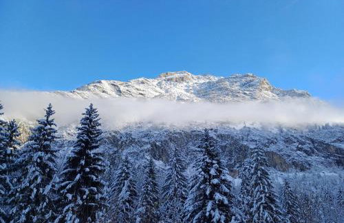 La Cabane des 2 Sœurs (chalet 4-6 personnes) - Foto 27