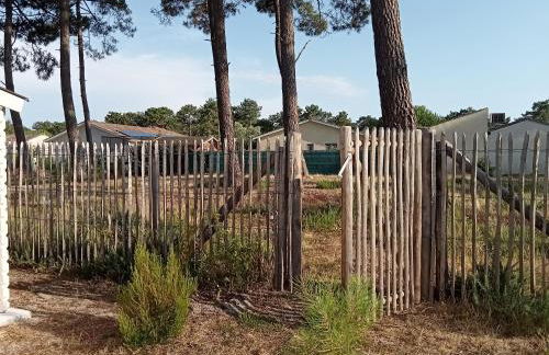 Santa Monta - Foto 28