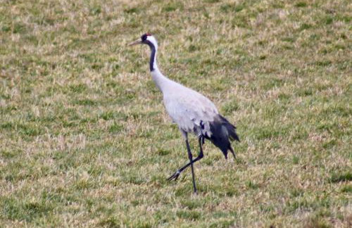 Ferienwohnungen Zur Biberburg - Foto 62