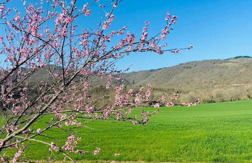 Gîte Les Voûtes du Chambon - Foto 32