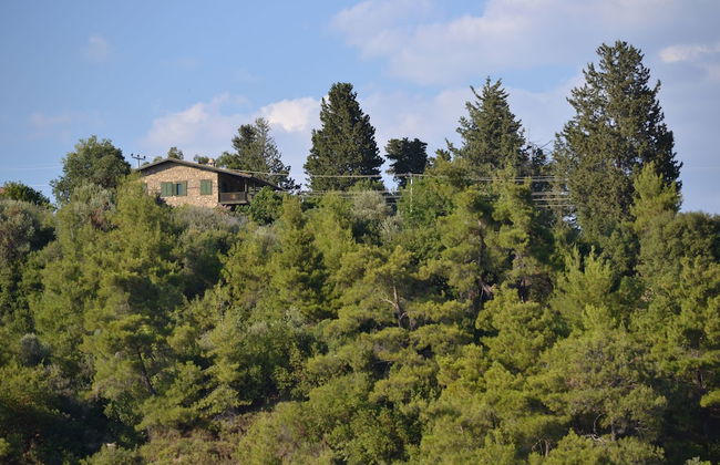 Seki Cottages - Foto 29