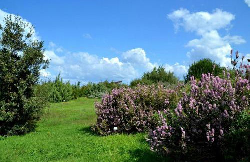 Pepita Flats - Foto 36