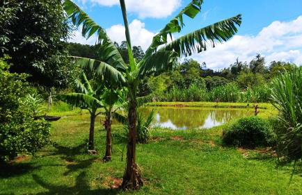 Chácara Bertelli - Foto 32