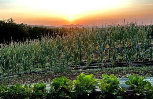 Luxury Farm Stay-Bonds Corner Bungalow-Wolf Pine Hollow - Foto 53