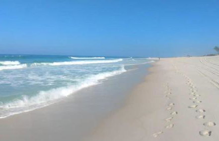 Casa Rua da Lagoa - Foto 32