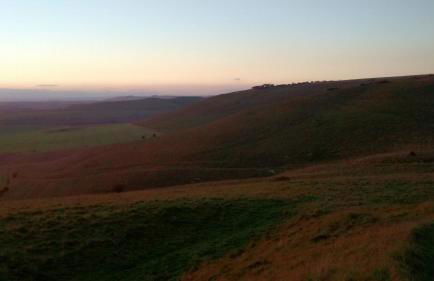 The Cottage - Photo 32