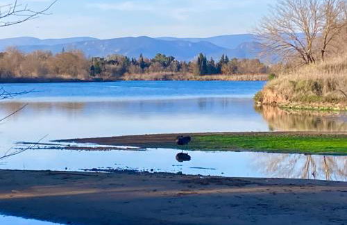 Villa climatisée calme avec piscine partagée Saint AYGULF/FREJUS - Foto 33