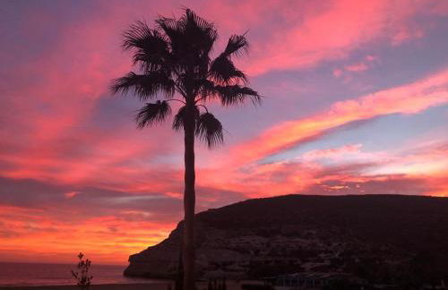 El Jardín del Camaleón - Foto 15