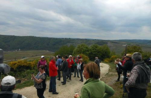 Holiday Home Weingut Mertes - Foto 7