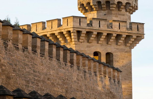 Ultimate Palma Tour: Historic Highlights Palaces, Gardens & Cathedral Tour - Foto 13