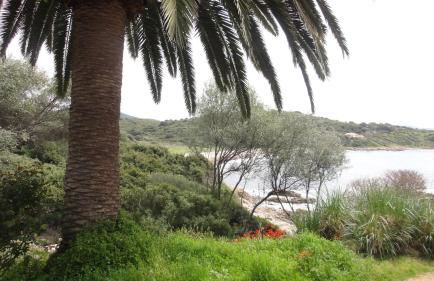 Résidence Les Mandiles - Foto 65