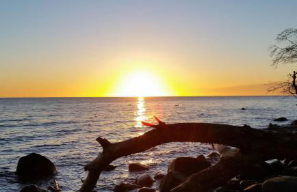 Ferienbauernhof Liesenberg Meerblickhaus Strandmuschel - Foto 64