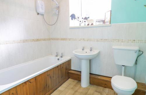 Dyfi Cottage - Photo 9