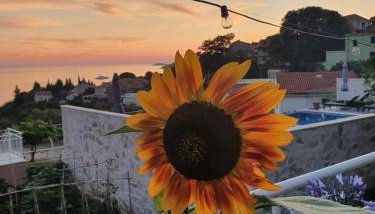 Apartmani Ana - Foto 4