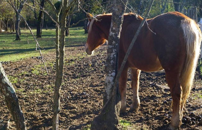 Belvilla by OYO Argilla 3 - Foto 38