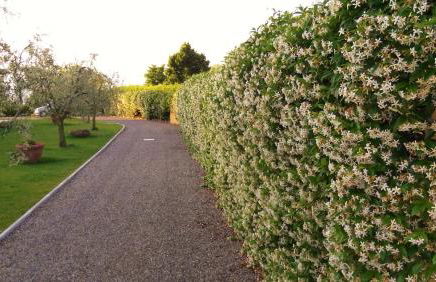 Podere La Casuccia - Foto 26