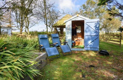 3 Bed in Dinas oc-lazyno - Photo 19