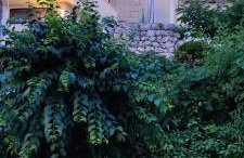 Renovated Old Stone House - Foto 76