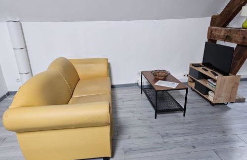 Beaugency-2 sur la route des châteaux - Photo 24