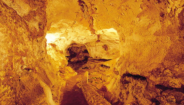 El yacimiento arqueológico de Edzná y taller de miel - Foto 4