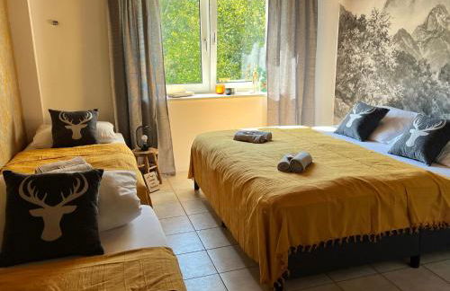 SKI ChaletStyle Designer Ferienwohnung Arber Terrasse Pool Garten Bayrischer Wald Lodges mit Hund - Foto 28