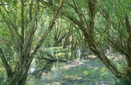 Casa Vacanze Domus Angela - Foto 46