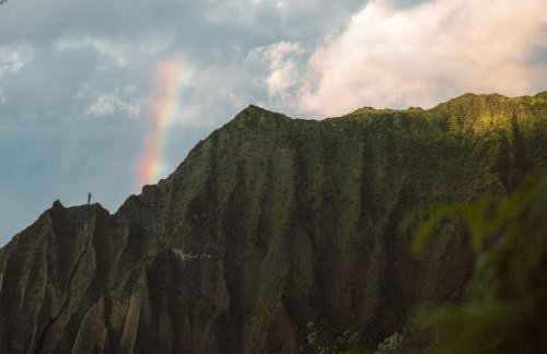 Banyan Harbor Resort - Foto 133