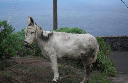 Casa Rural Arguamul - Foto 15