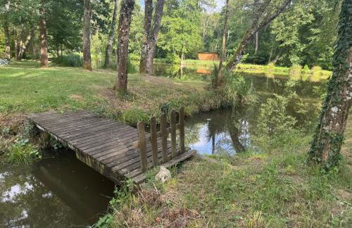 Grand gite rénové, jacuzzi, jardin, rivière, calme - Foto 53