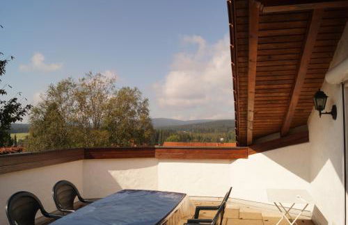 Haus Haidweg - Ferienwohnungen in Haidmühle im Dreiländereck DE-CZ-AT - Foto 60