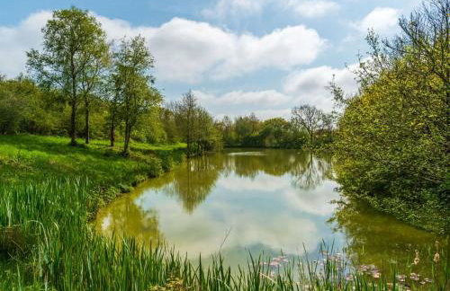 Chalet Lodge 2 - Hot Tub by Interhome - Foto 36
